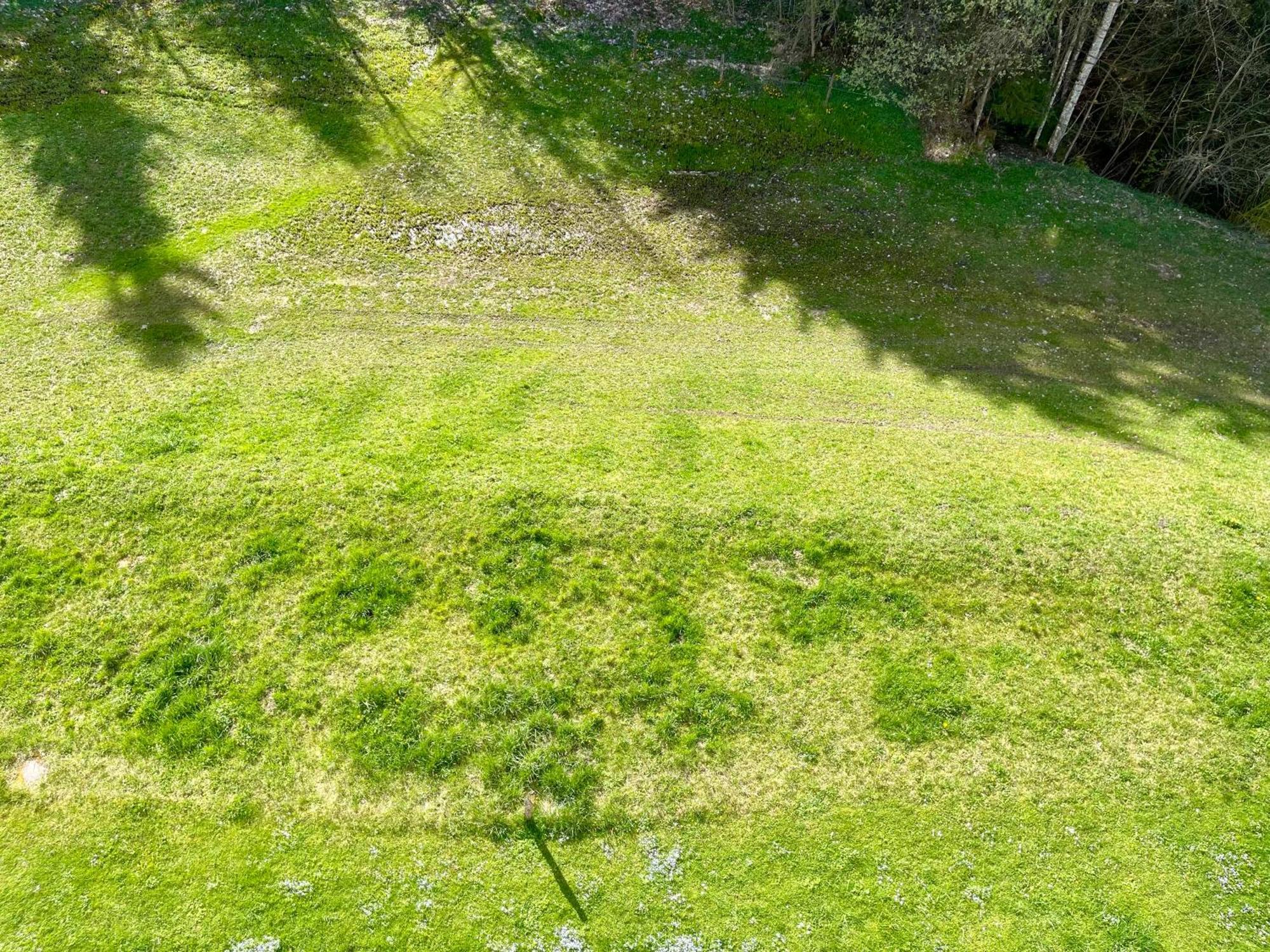 Apartment Berghof אלמאו מראה חיצוני תמונה