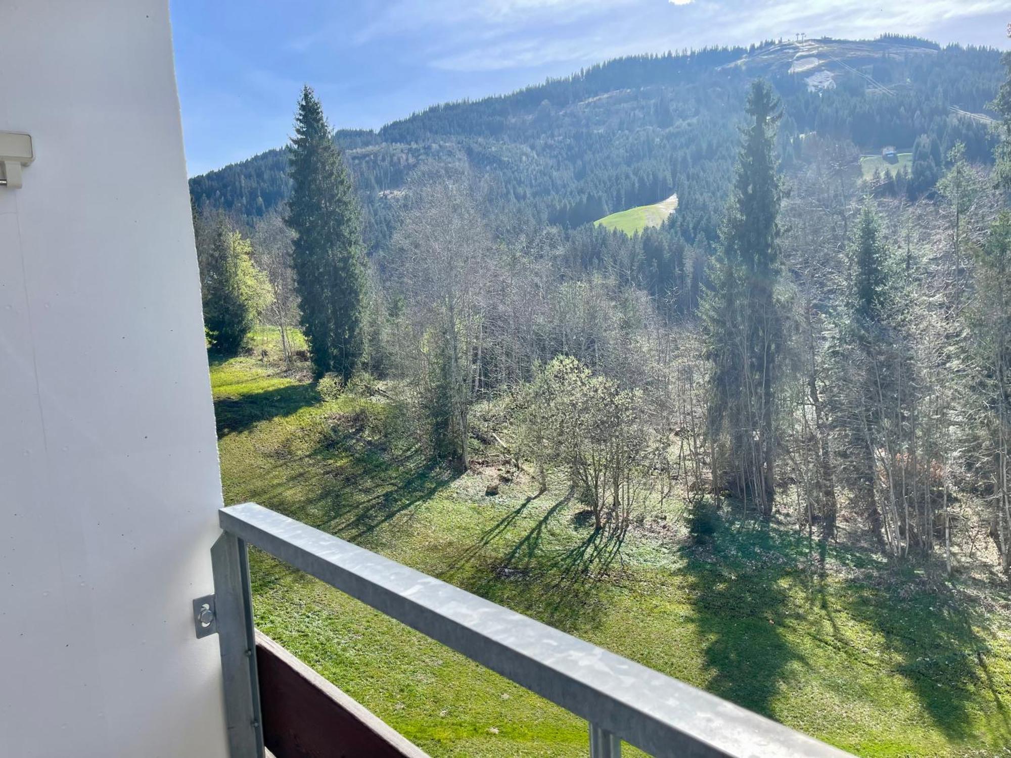 Apartment Berghof אלמאו מראה חיצוני תמונה