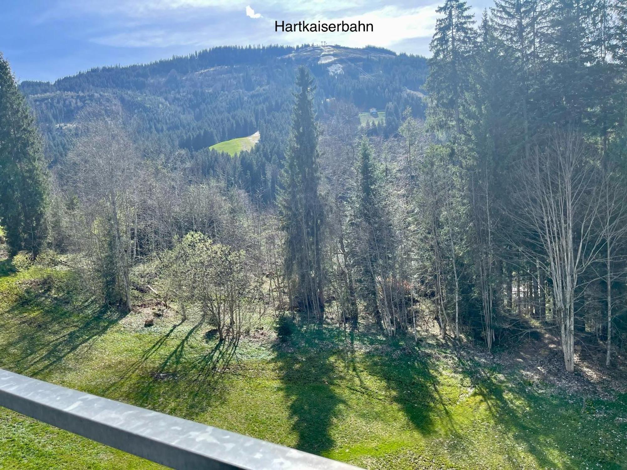Apartment Berghof אלמאו מראה חיצוני תמונה