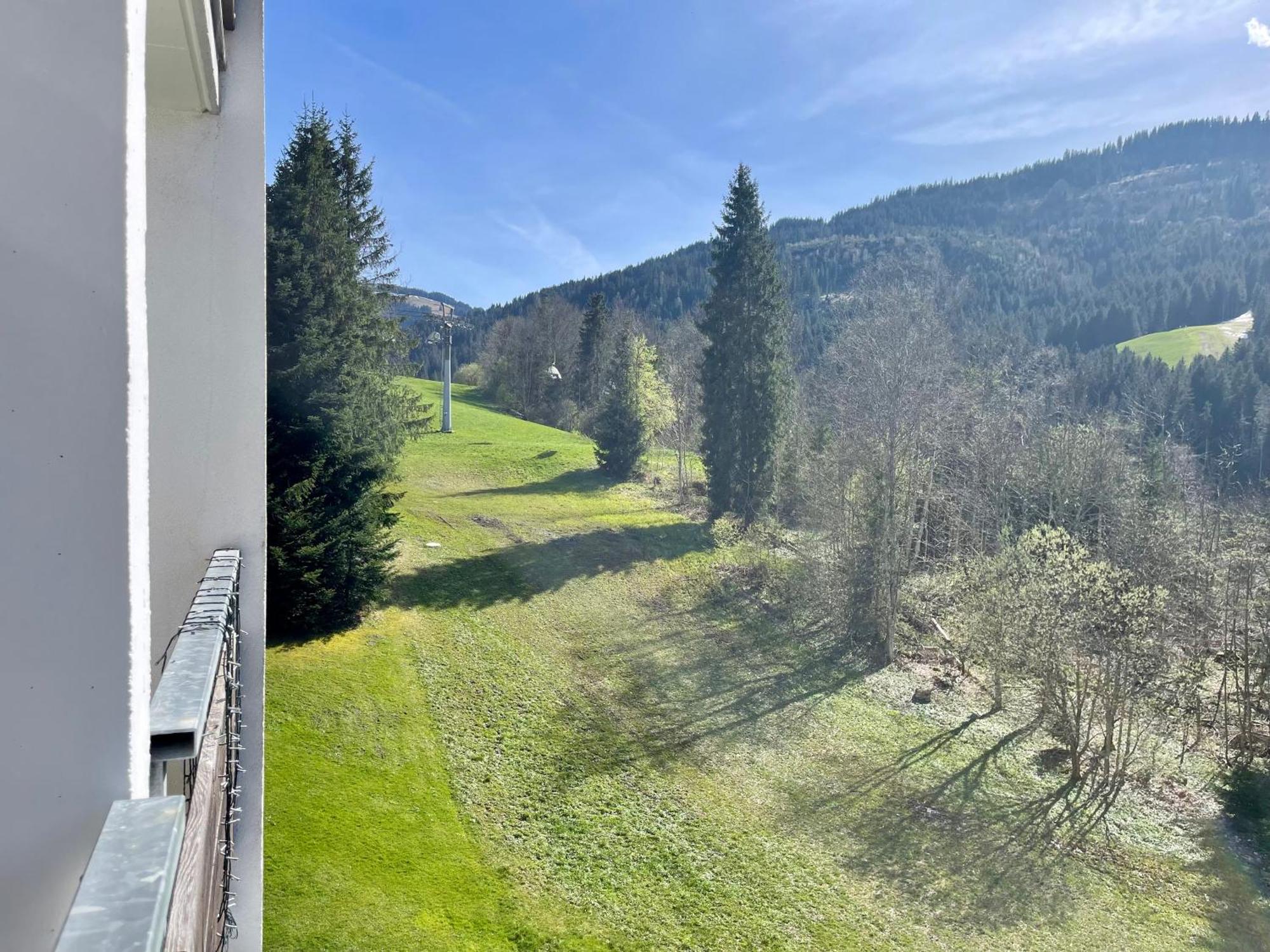 Apartment Berghof אלמאו מראה חיצוני תמונה